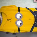 déguisement minion