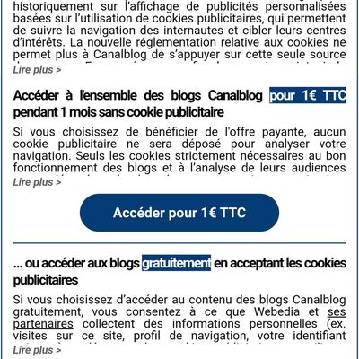 Visionner ce blog sur smartphone est possible mais non optimal