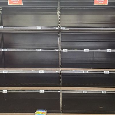 Quand les poules sont en grêve