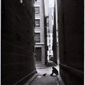 Extrait : "New York" (1946), d'Henri Cartier-Bresson