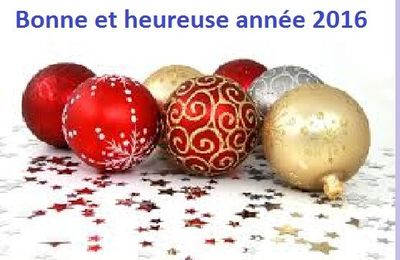 Bonne année 2016