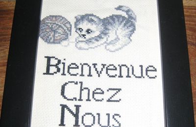 Coucou voici des nouvelle broderie que j'ai fais