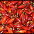 poivrons,piments et piperades 