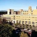 Un centre du cerveau à Québec?