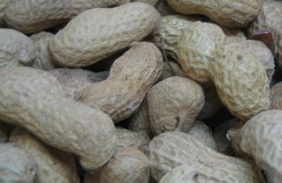 Beurre de cacahuète et travail à la chaîne !