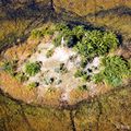 Découvrez Motswiri, camp de brousse au Botswana