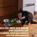 [GRIF'Abrite] Trois vieux chats : Papet