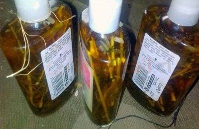 Le parfum le plus attirant pour femme : top fragrances 2025