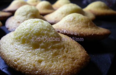 Madeleines au miel bien bossues