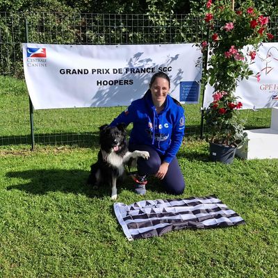 Compétition de Hoopers