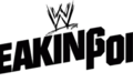 WWE Breaking Point Historique