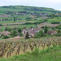 23 - Pèlerinage en Côte Chalonnaise (mai 2013) 