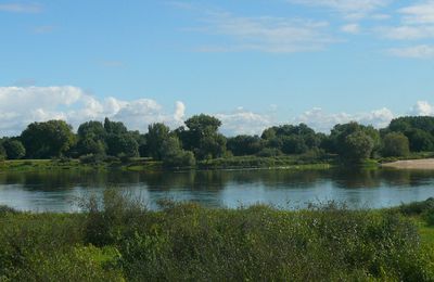 Promenade à Béhuard