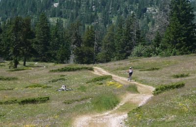 Circuits VTT Vercors avec GPS