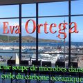 Vidéo de la conférence du 15/11/2023 Eva ORTEGA: soupe océanique de microbes et pompe à carbone