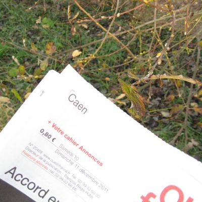 Météo farfelue (suite)