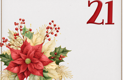 Avent jour 21 : le sapin est dans la place