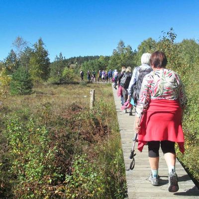 Randonnée du mardi 7 oct 25 après-midi - le plateau de la Verrerie ST Nicolas des biefs