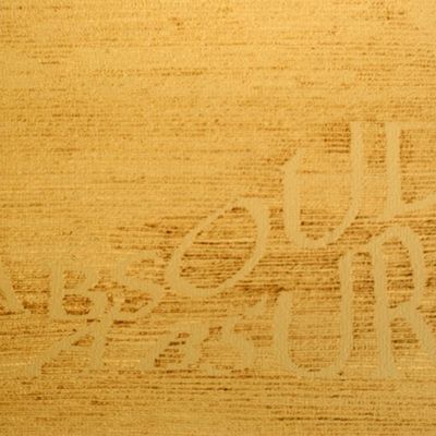 DES MOTS DES PLEINS DES VIDES