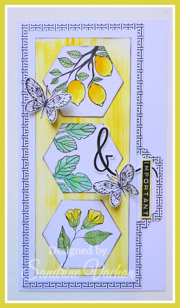 Sandrine VACHON 914 PCC (1)