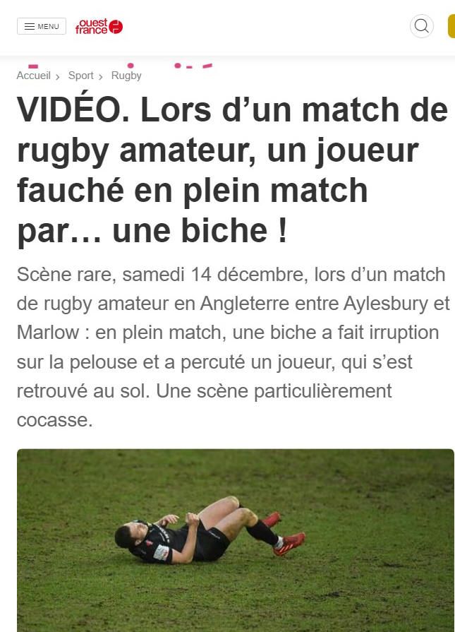 Biche o ma biche