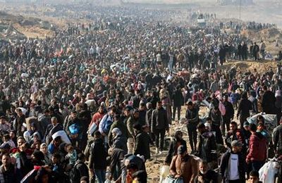 !!Génocide à Gaza: J 620!!  Un sous-traitant du GHF révèle les détails “horribles” du “piège humanitaire” américano-israélien