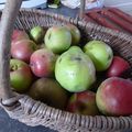 9 OCTOBRE - POMMES compotées OUI mais....POMMES au sirop c'est très bon pour changer...