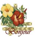 Quelques jours en images