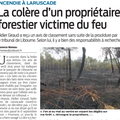 Feu de forêt