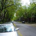 Quartier Outremont