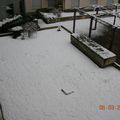 Lyon sous la neige .... au mois de mars !
