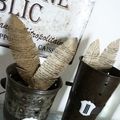 Plumes de printemps !