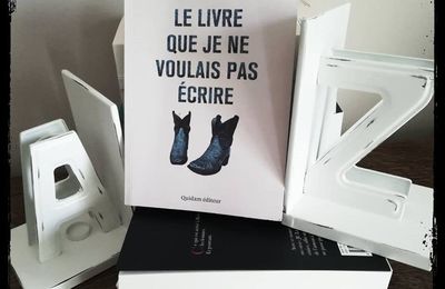 Le Livre que je ne voulais pas écrire- Erwan Larher