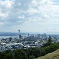 NZ_ AUCKLAND