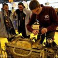 Le salon de l'agriculture fait le compte de ses moutons ...