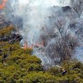 Gigantesque incendie sur l'Ile de la Réunion