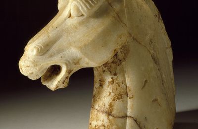 Horse Head, Tang dynasty (618-906)