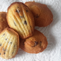 Madeleines aux pépites de chocolat **