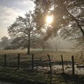 Bourgogne au petit matin