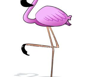 Quel est le cri du flamant rose ?