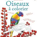 Activité pour enfant - Oiseaux à colorier