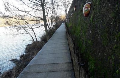 Auprès de mon arbre