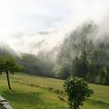 Le souffle de la forêt