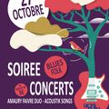 Soirée concert Blues Folk