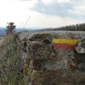 [Bourgogne] dans les vignes d'Aloxe-Corton...