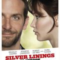 Happiness Therapy (Silver Linings Playbook)