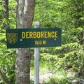 Derborence