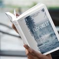 Oldforest   : Pierre-Yves Touzot nous livre le premier tome d'une trilogie qui lorgne du coté de Stephen King