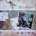 Edelweiss