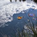 des fleurs contre l'horreur